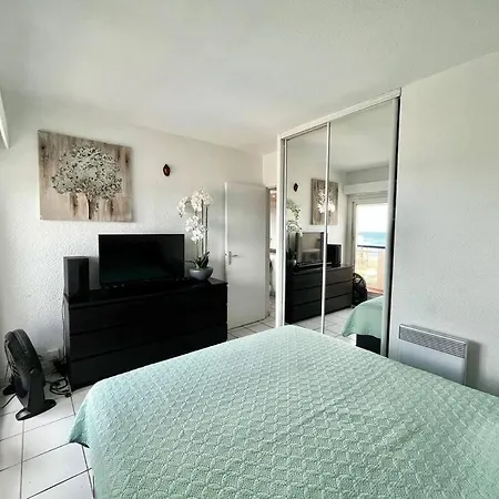Super T 3, Vue Piscine Clim Appartement Le Barcarès